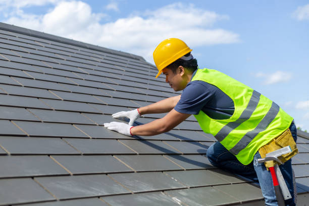 Quick and Trustworthy Emergency Roof Repair Services in Cannon Falls, MN